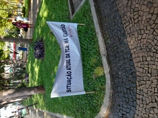 Alternate Text